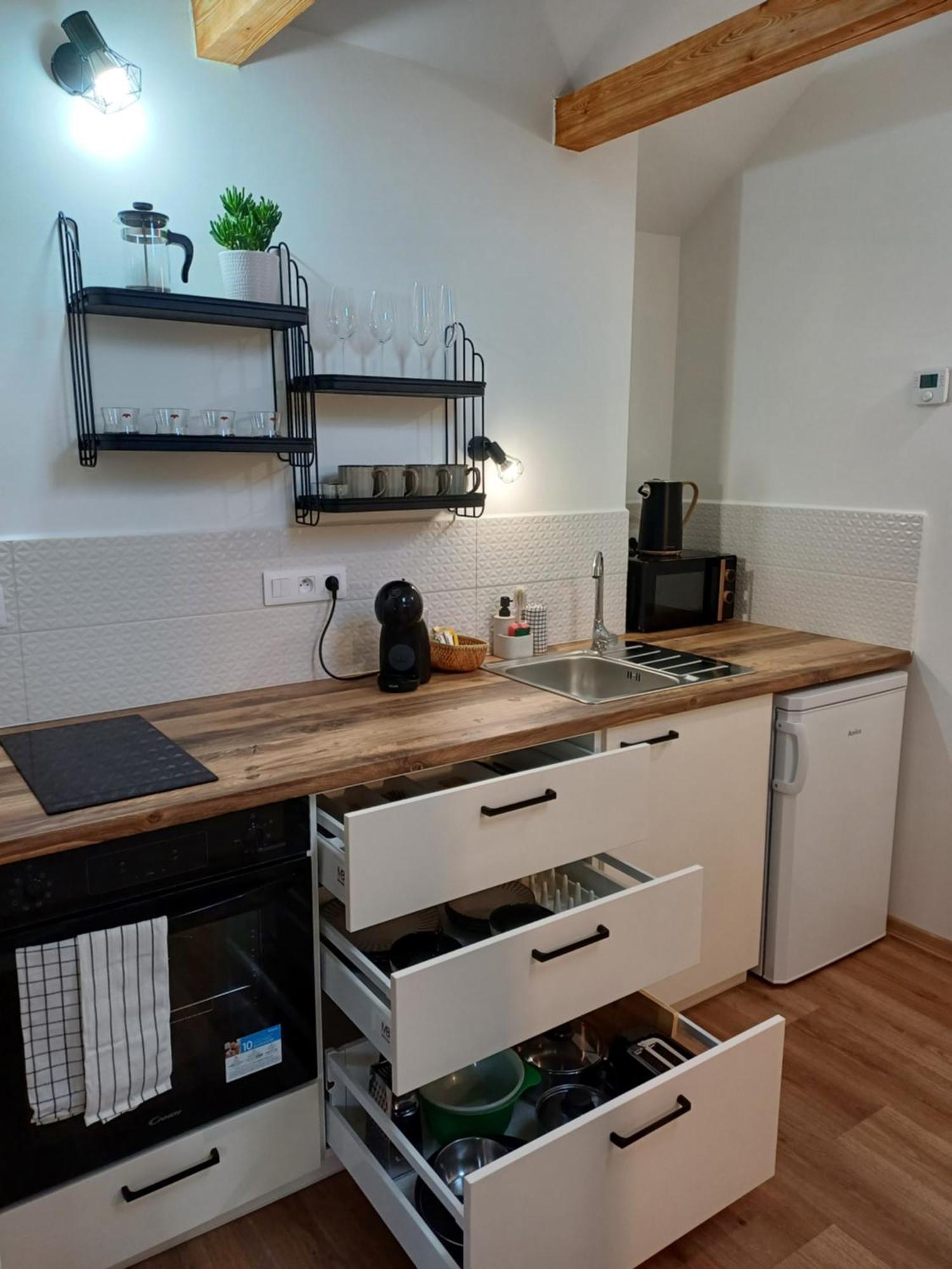 Loft Apartment Karlovy Vary Exterior foto